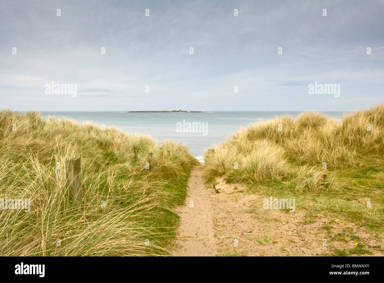 Blick auf Coquet Island durch die Dünen an der Druridge Bucht, Northumberland, England. Stockfoto