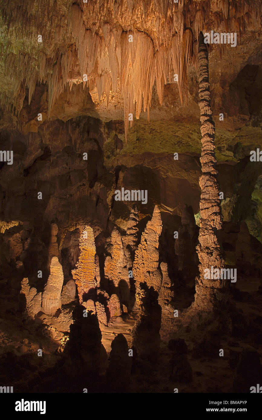 Totempfahl, Carlsbad Caverns National Park, New-Mexico Stockfoto