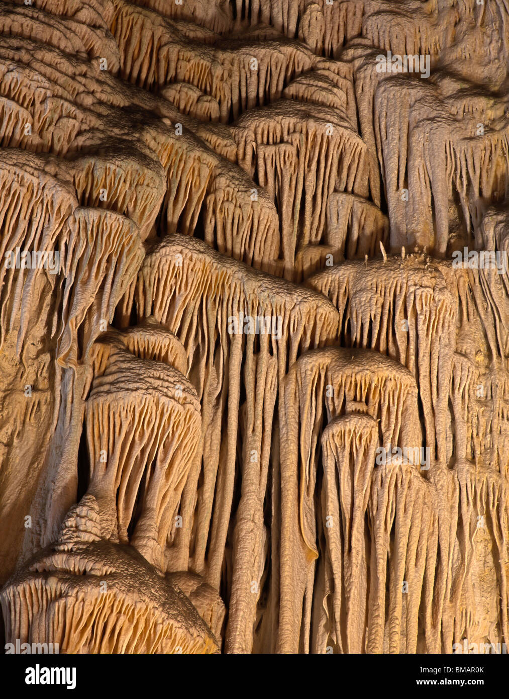 Höhlenformationen Sie (Sinterbildung) im großen Raum, Carlsbad Caverns National Park, New-Mexico Stockfoto