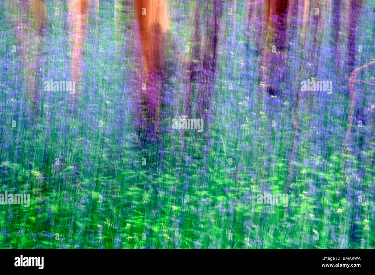 abstrakte impressionistischen Aussicht auf Bluebelle Wälder Stockfoto