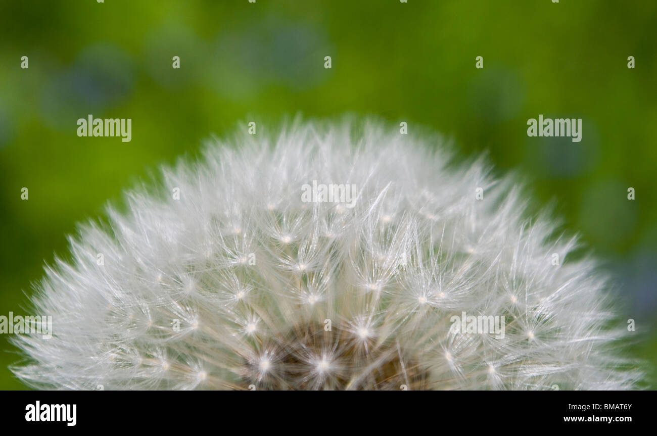 Schlag-Kugel. Stockfoto