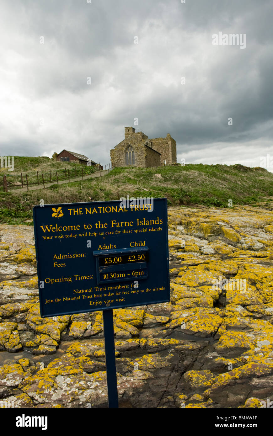 Die Insel der inneren Farne, Farne Islands, Northumberland, England. Stockfoto
