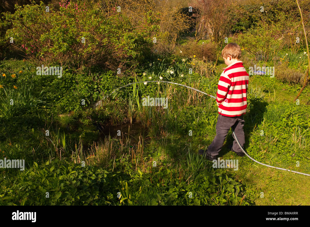 Ein MODEL Release Bild eines 6-jährigen Jungen füllen einen Teich mit einem Schlauch Gartenschlauch in England, Großbritannien, Vereinigtes Königreich Stockfoto