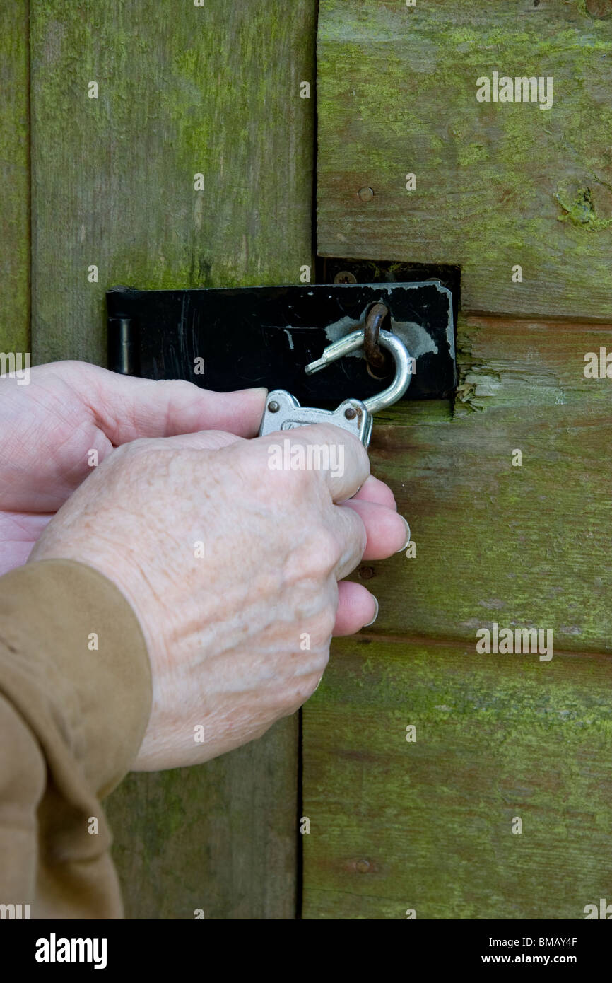 Männliche Hand, die ein Vorhängeschloss an der Tür für ein Gartenhaus Stockfoto