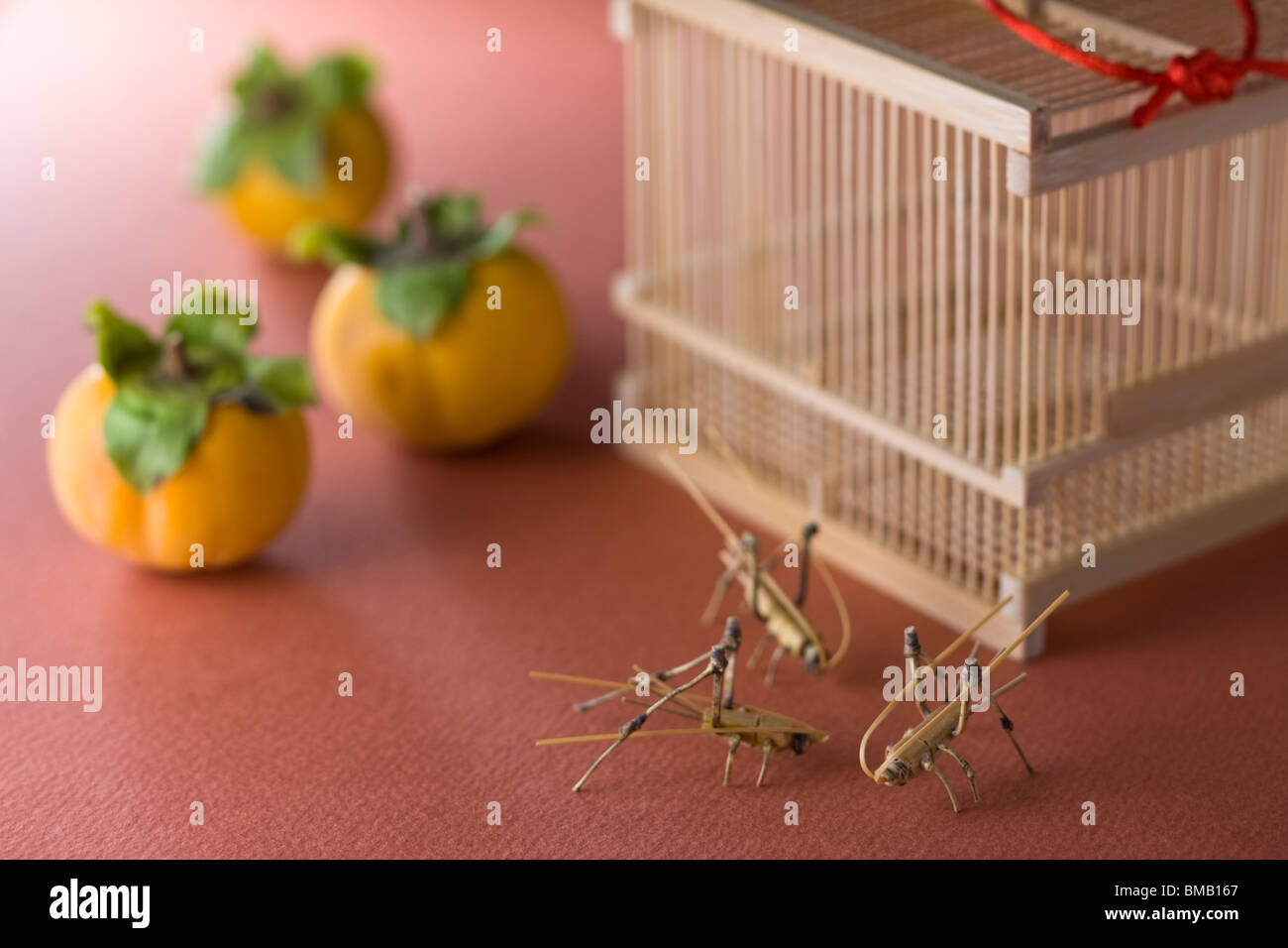 Insekt Käfig und Bambus Arbeit der Glocke Cricket Stockfoto