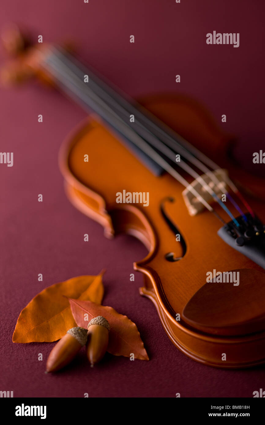 Violine und Acorn Stockfoto