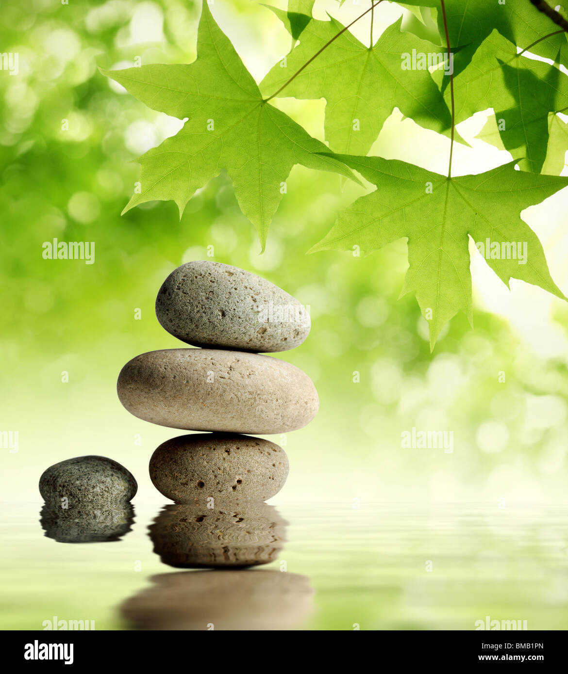Grüne Ahornblätter über Zen Stein Stockfoto