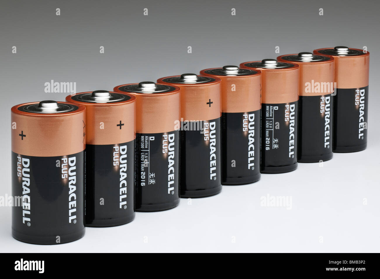 Acht Duracel Plus LR20 mn1300 1,5V alkaline-Batterien Stockfoto