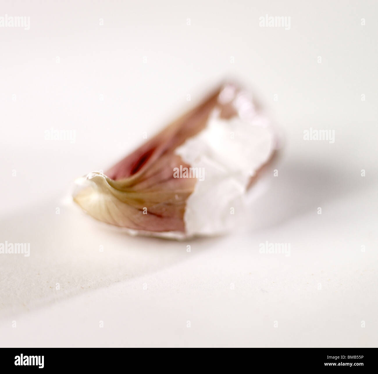 Knoblauchzehe Stockfoto