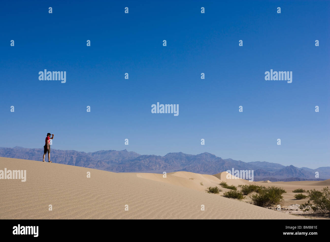 Männliche Wanderer schauen in Mesquite flachen Dünen, Death Valley Nationalpark, Kalifornien, USA Stockfoto