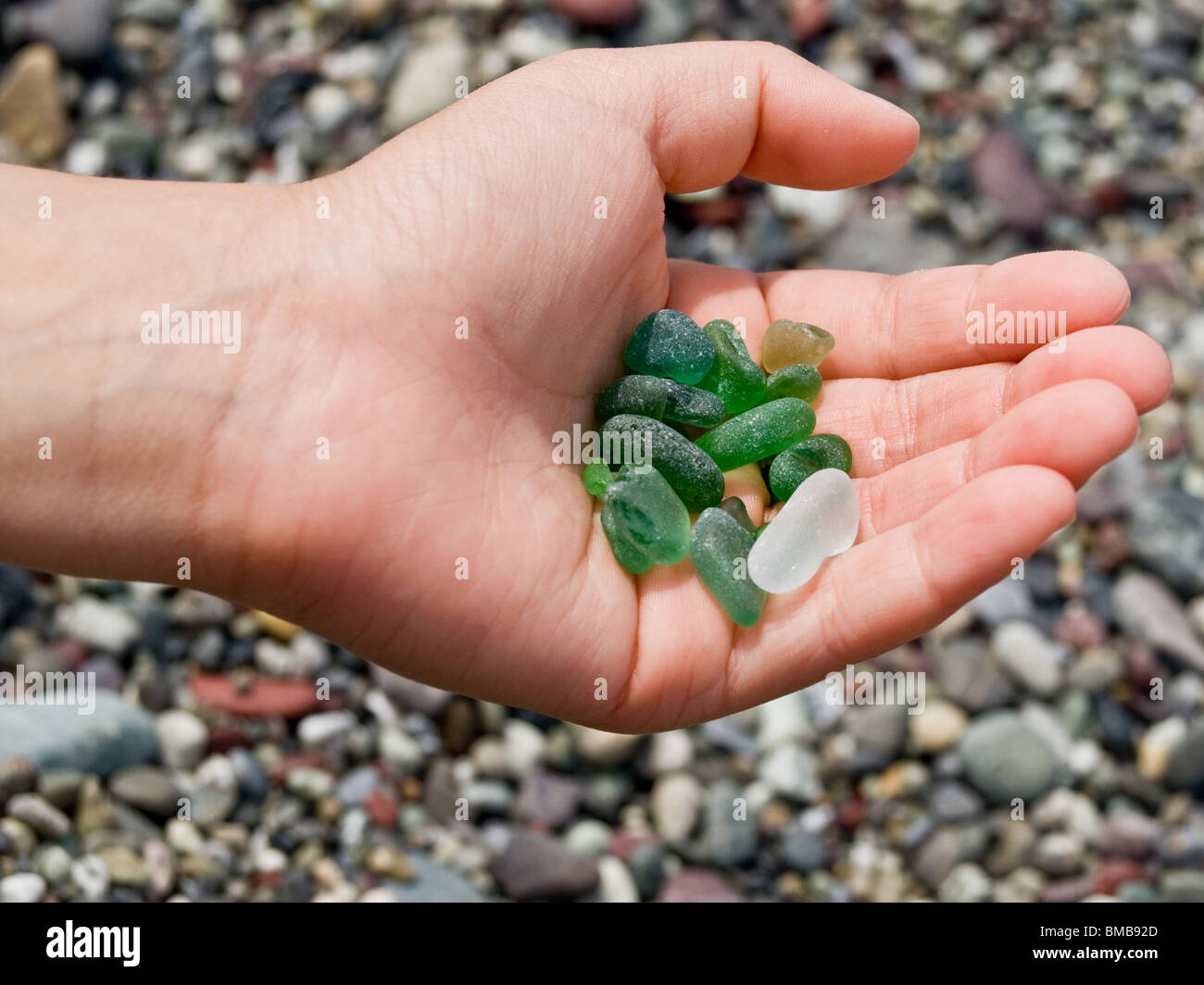 Eine kleine Hand sammelt grünen Steinen am Strand Stockfoto