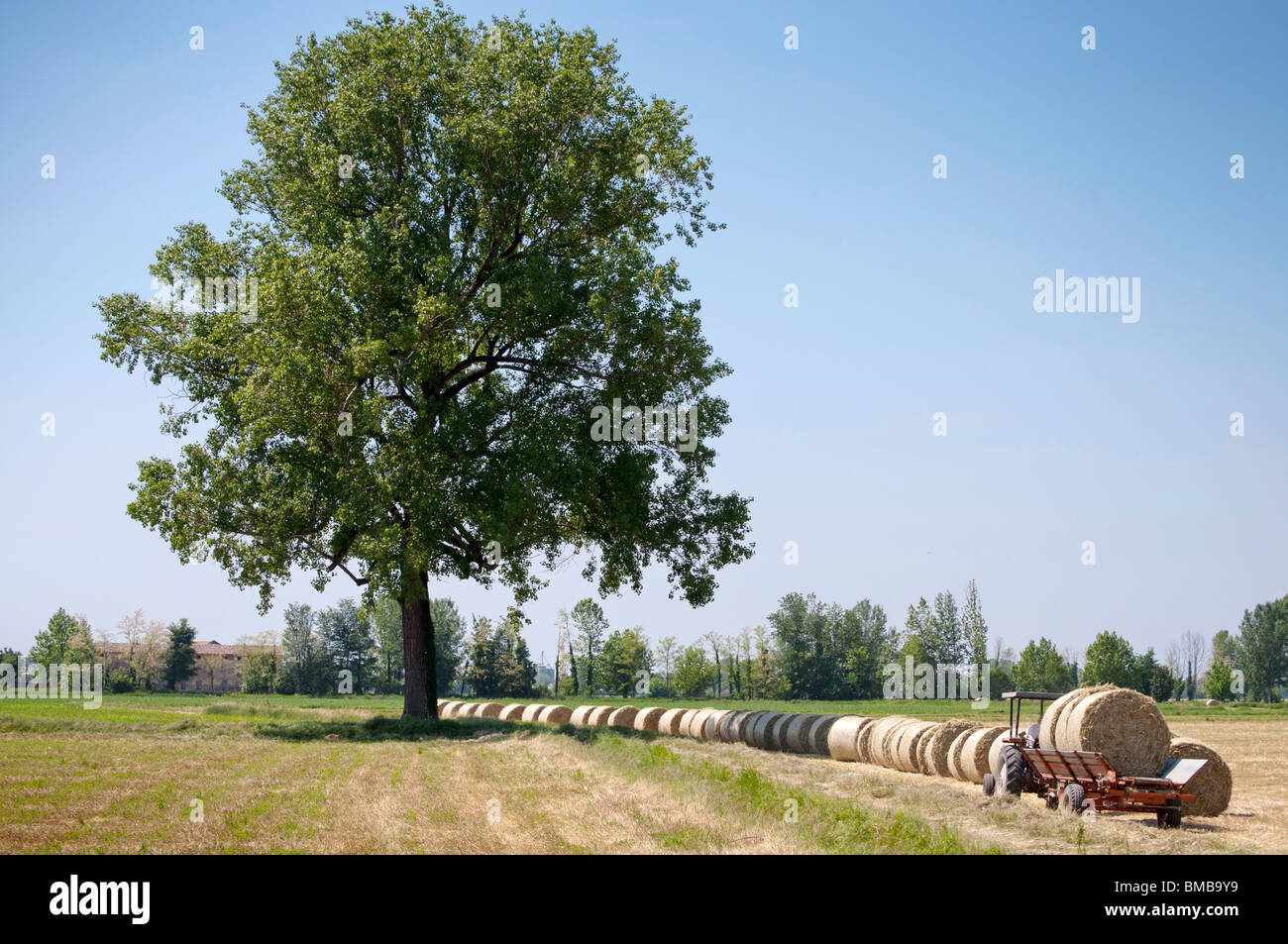 Traktor sammeln Heu Kugeln neben einem Baum Stockfoto