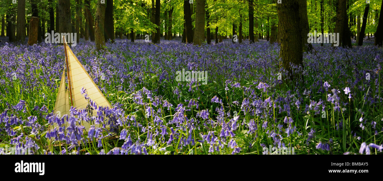 Modell Segelboot in einem Meer von englischen Glockenblumen. Stockfoto