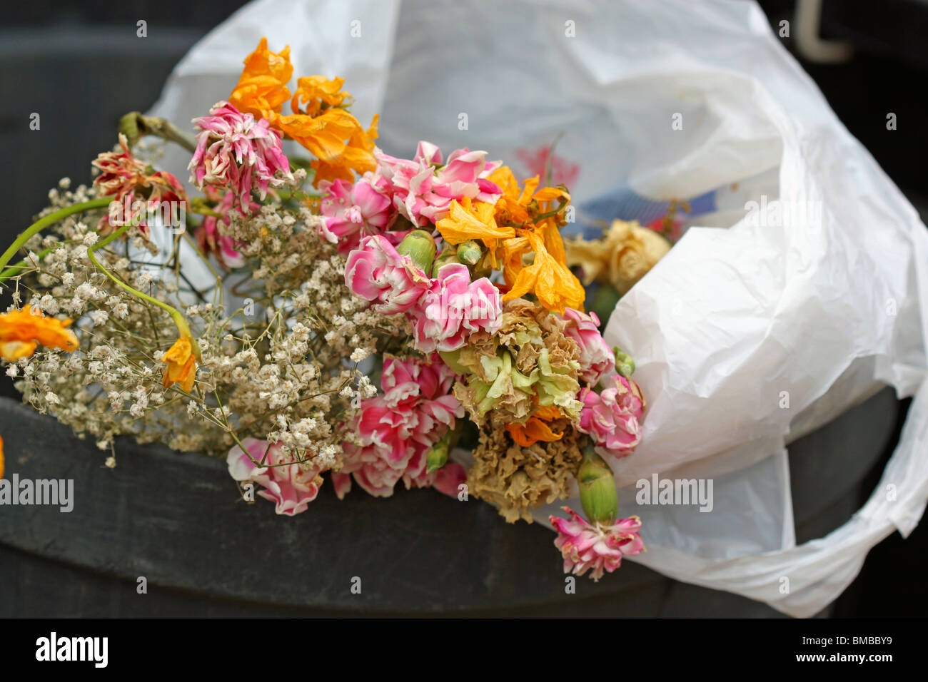 Tote Blumen in den Müll Eimer / Abfalleimer / bin Abfall / Garbage bin Stockfoto