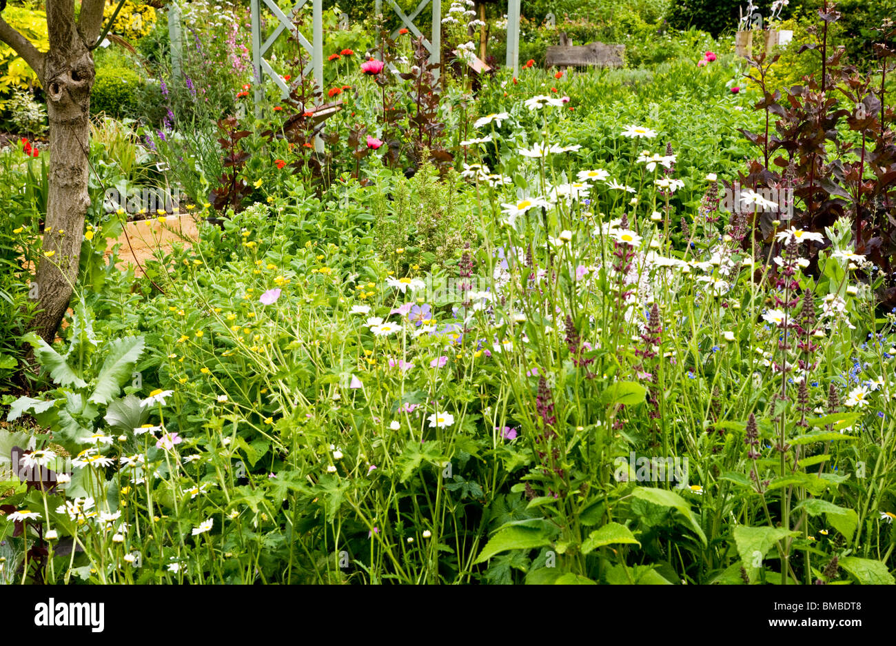 Eine Ecke von Physic Garden in den Zweigen Gärten in Swindon, Wiltshire, England, UK Stockfoto