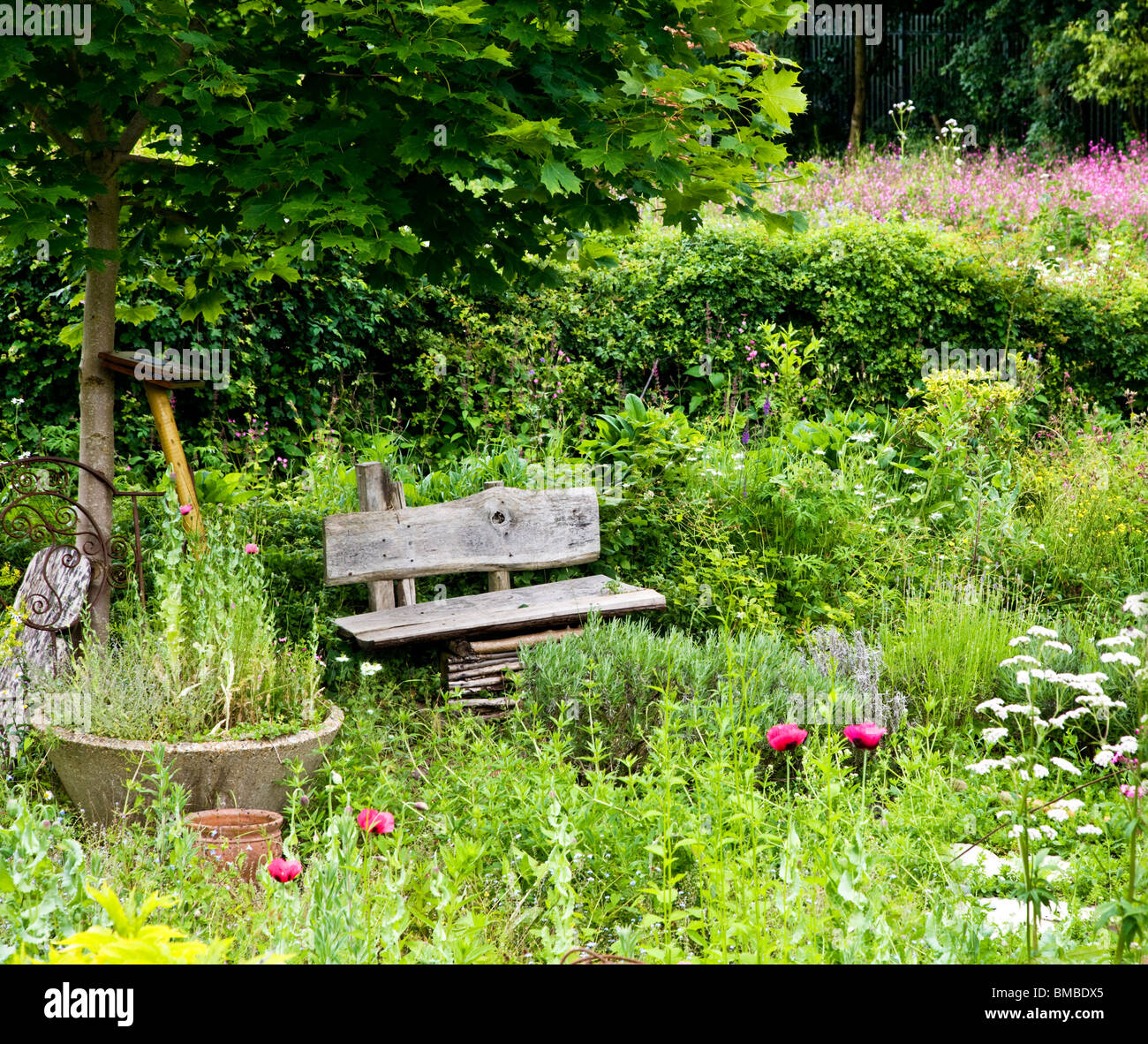 Eine charmante, rustikale Ecke der Cottage-Garten in den Zweigen Gärten in Swindon, Wiltshire, England, UK Stockfoto