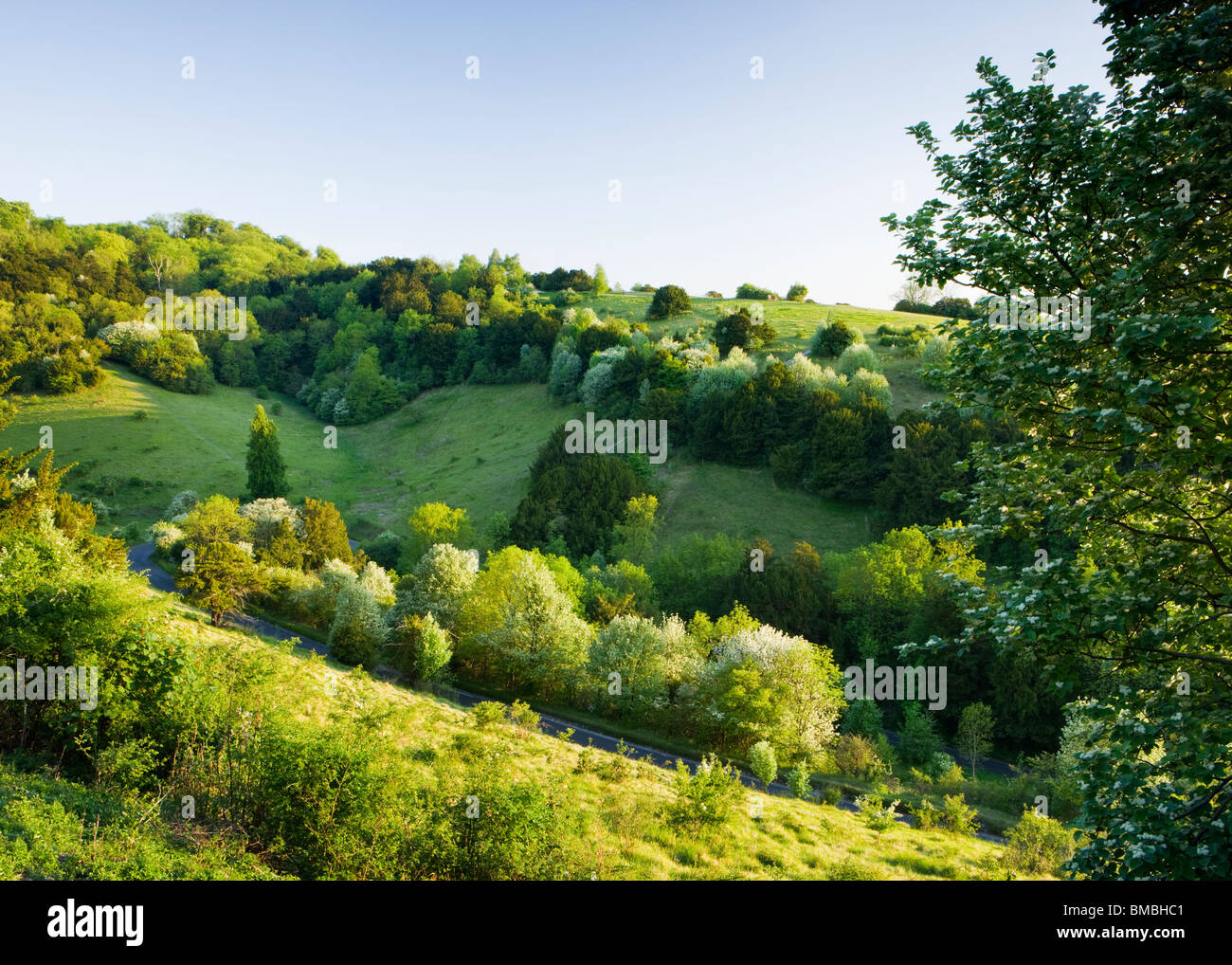 Box Hill im Zick-Zack, Surrey, UK. Frühling Stockfoto