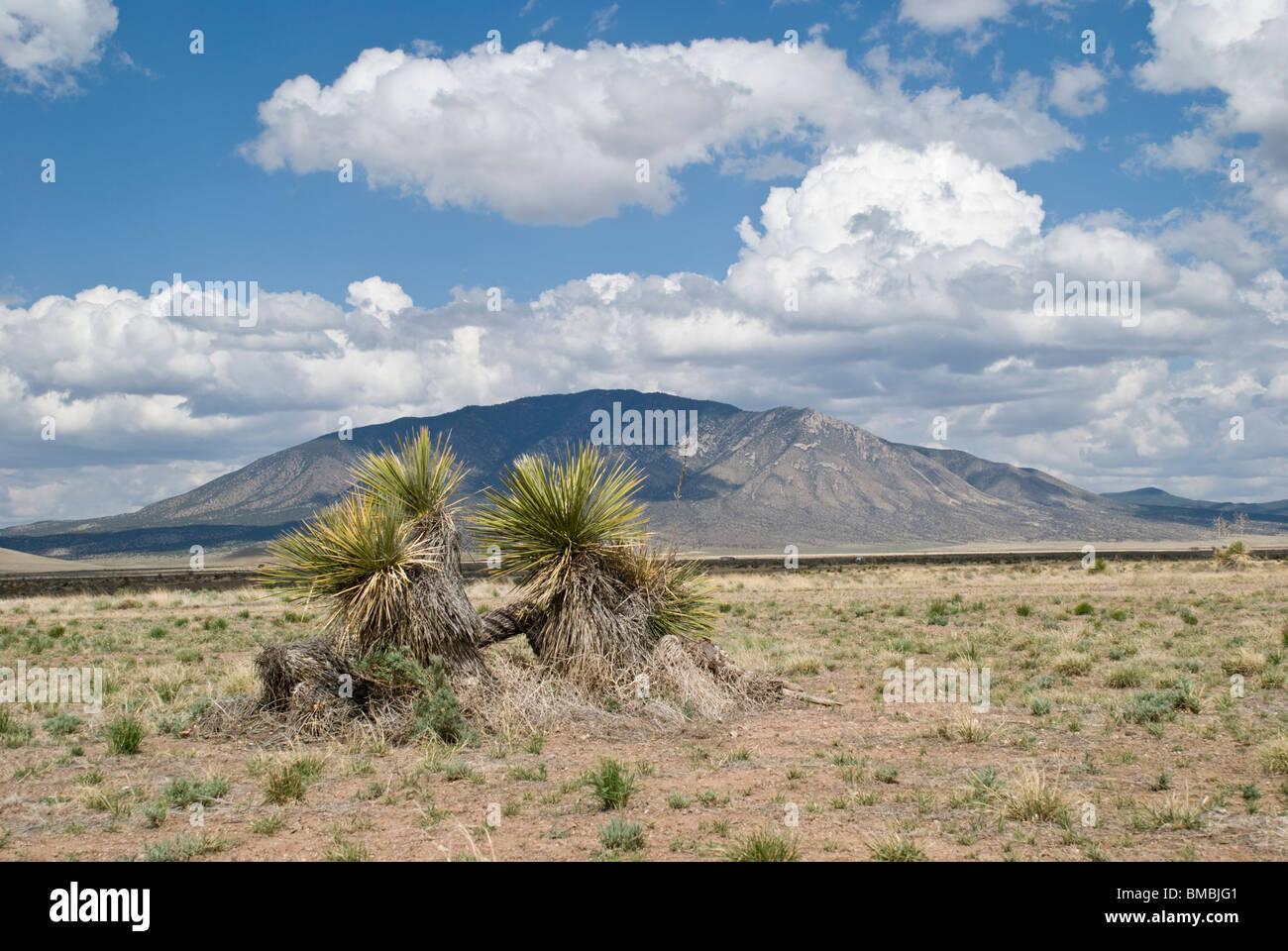 Die sich verändernde Landschaft der hohen Wüste im Süden New Mexikos ist ein Fotograf, der Freude. Stockfoto