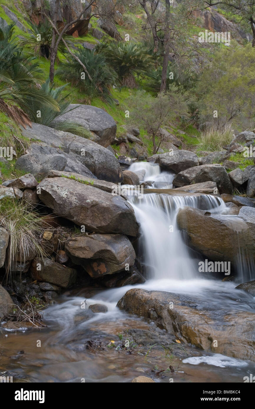 Eine steinige Bach mit einem kleinen Wasserfall in den westlichen australischen Busch Stockfoto