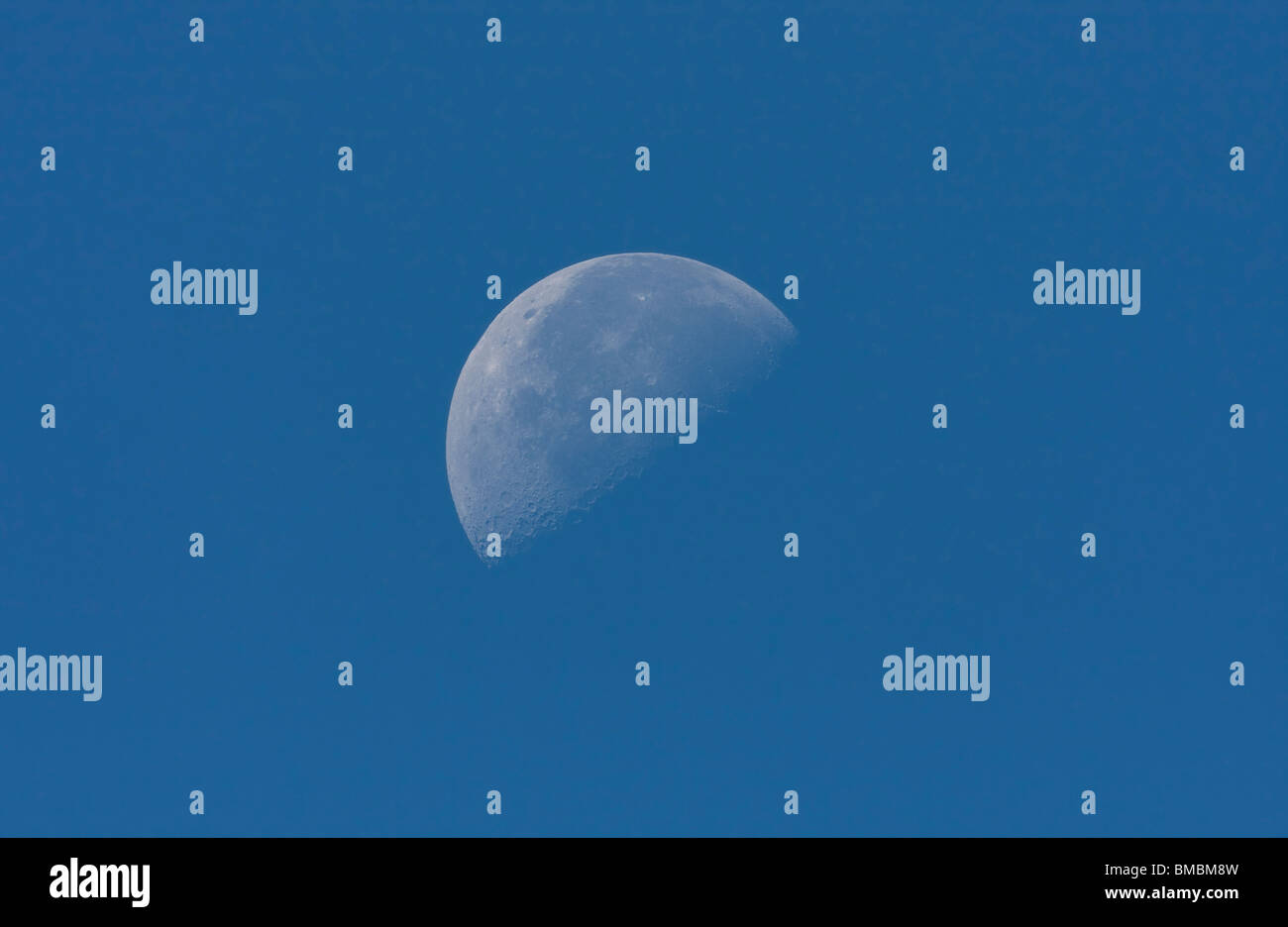 Ein halber Mond fotografiert während des Tages vor einem blauen Himmel im September von Parksville Vancouver Island, BC Kanada Stockfoto