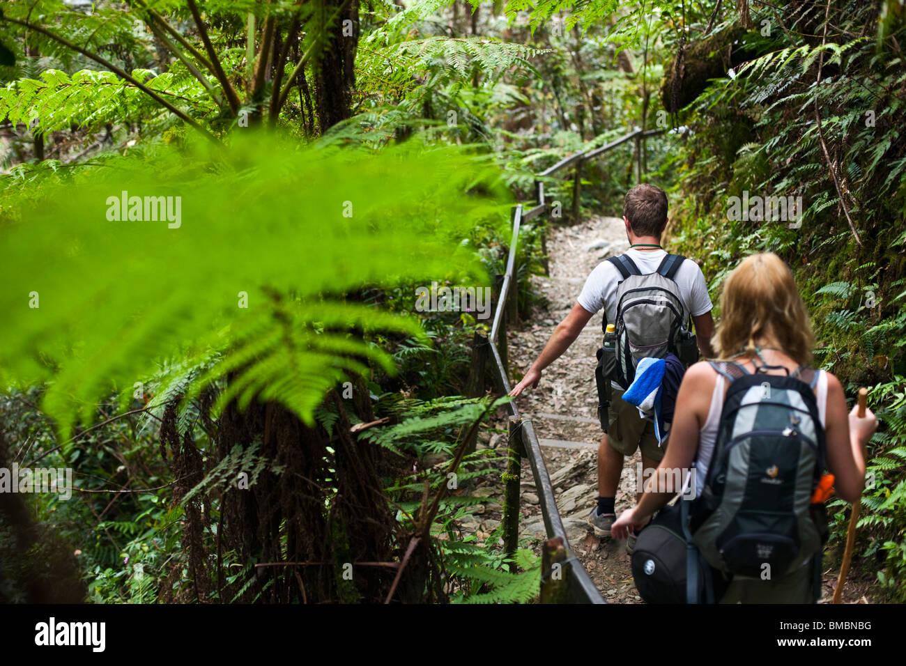 Paar durch tropischen Wald auf dem Mt. Kinabalu Summit Trail wandern. Kinabalu National Park, Sabah, Borneo, Malaysia Stockfoto