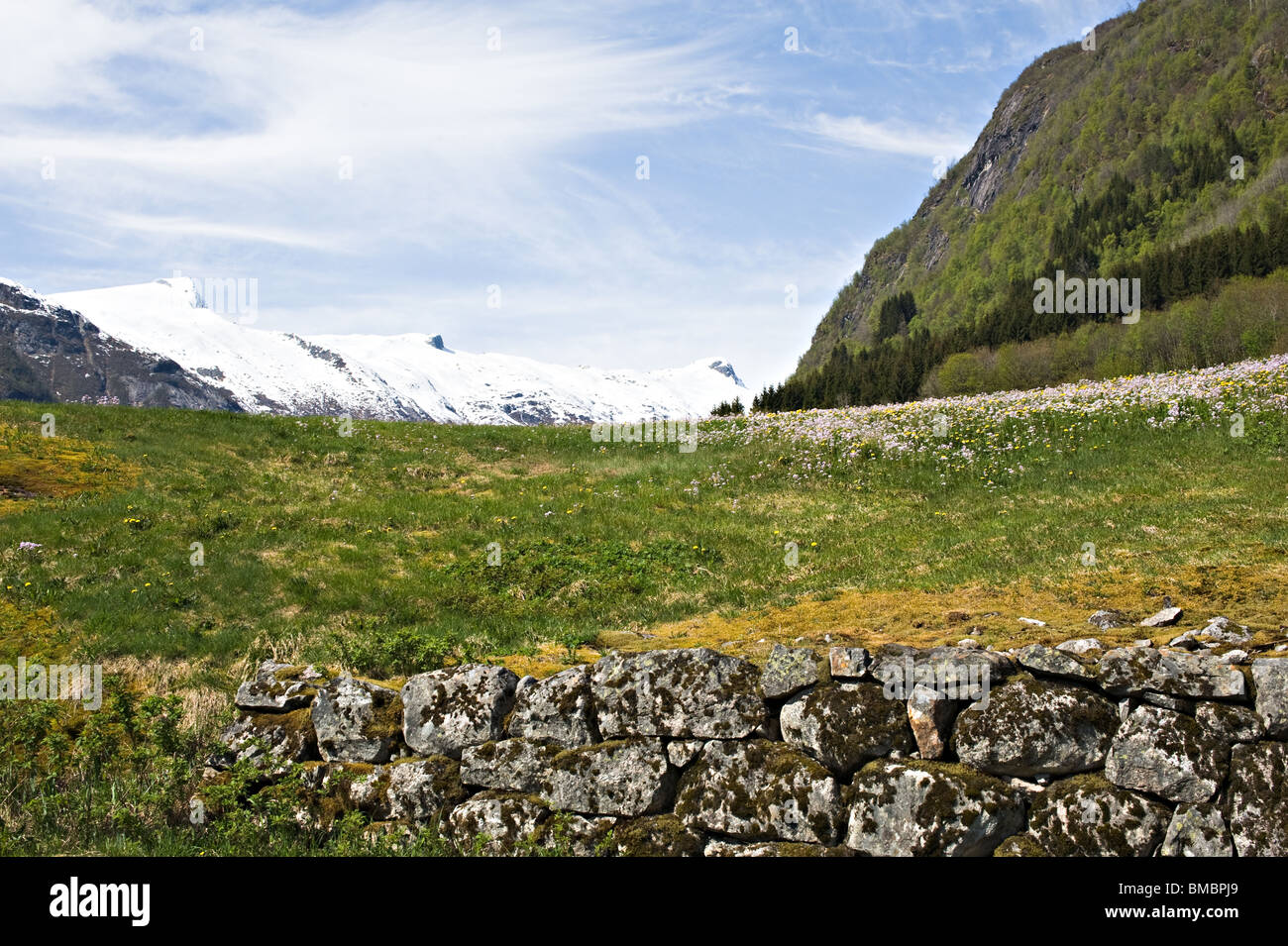 Schneebedeckte Bergketten mit Weideflächen Blumen und alten Steinmauer in Mundal Dorf Fjærland Sogn Norwegen Stockfoto