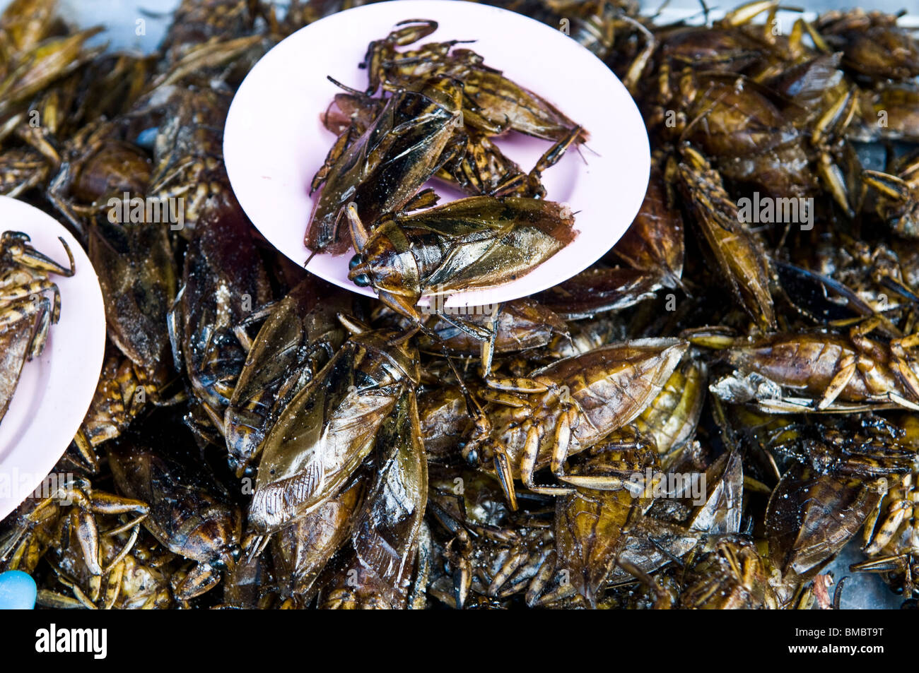Südostasiatischer Snacks. frittierte Insekten und Insekten sind sehr beliebt in Süd-Ost-Asien. Stockfoto