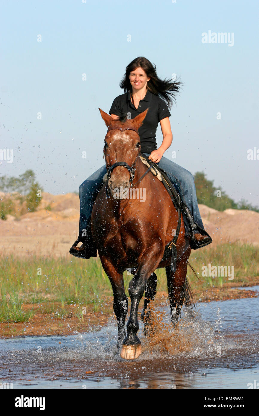 Ritt Durchs Wasser / Reiten durchs Wasser Stockfoto