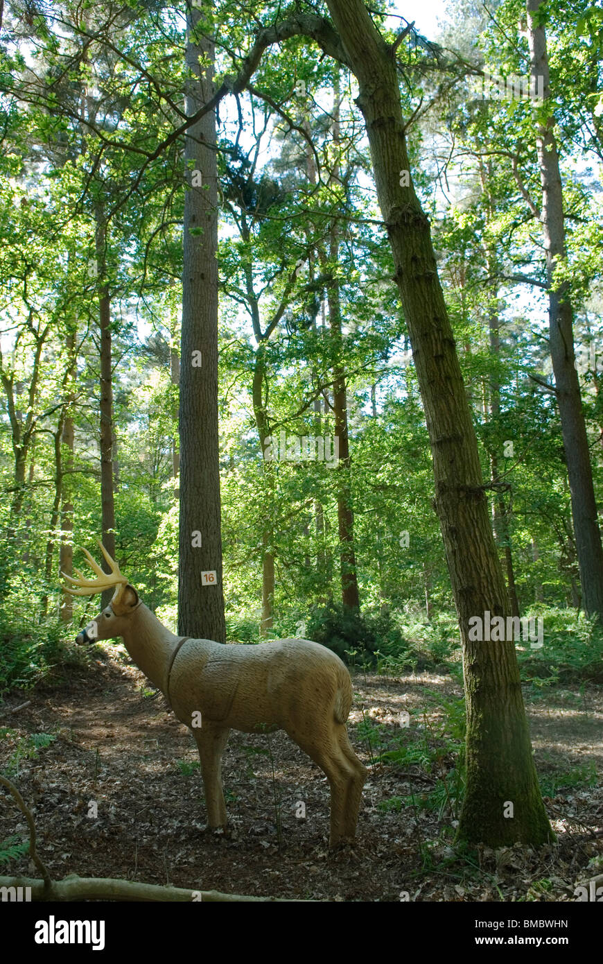 Zielübung Bogenschießen. Leben wie Hirsch in Surrey Wood. England UK 2010s, 2010 HOMER SYKES Stockfoto