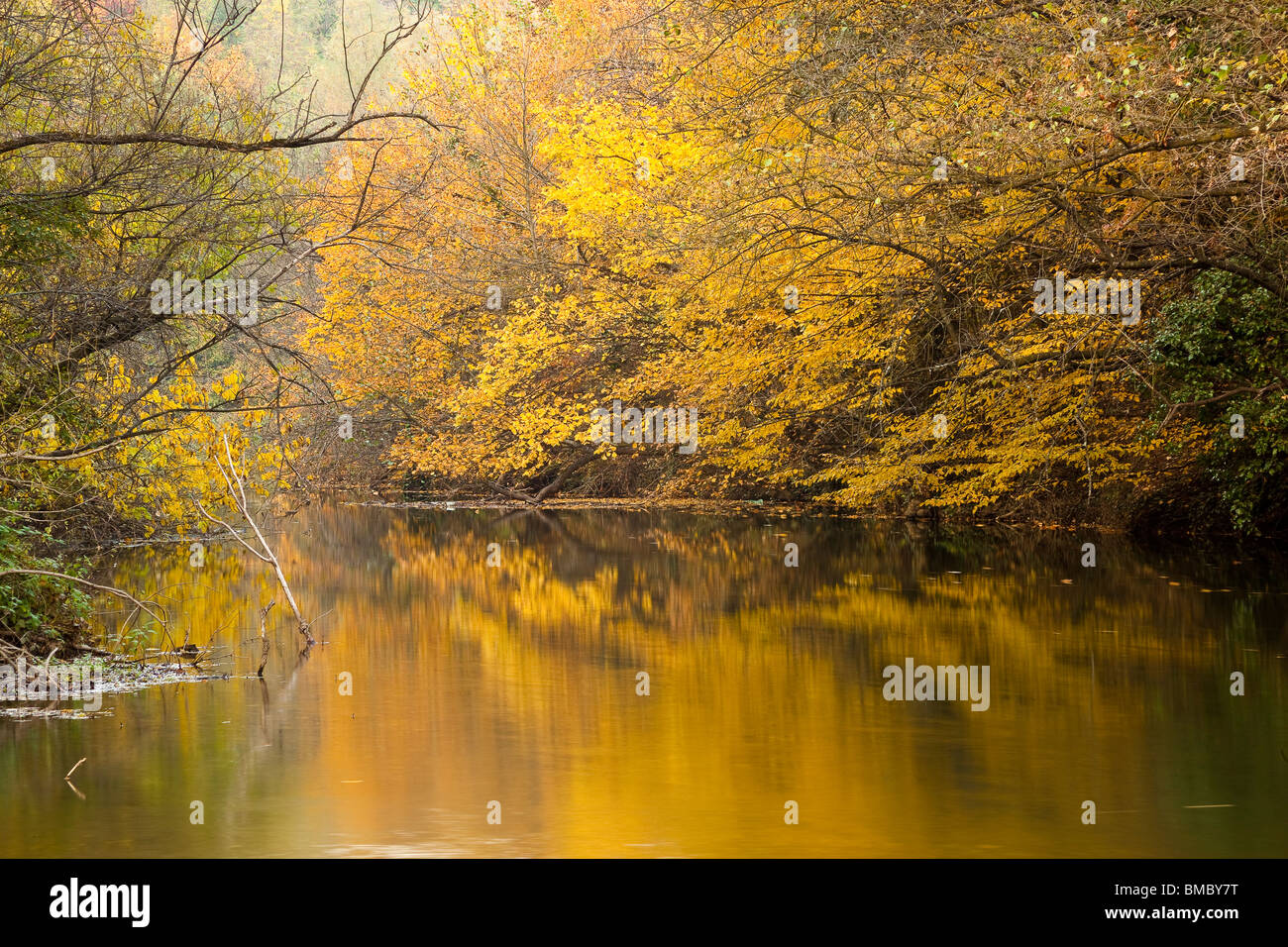 Herbst-Idylle Stockfoto