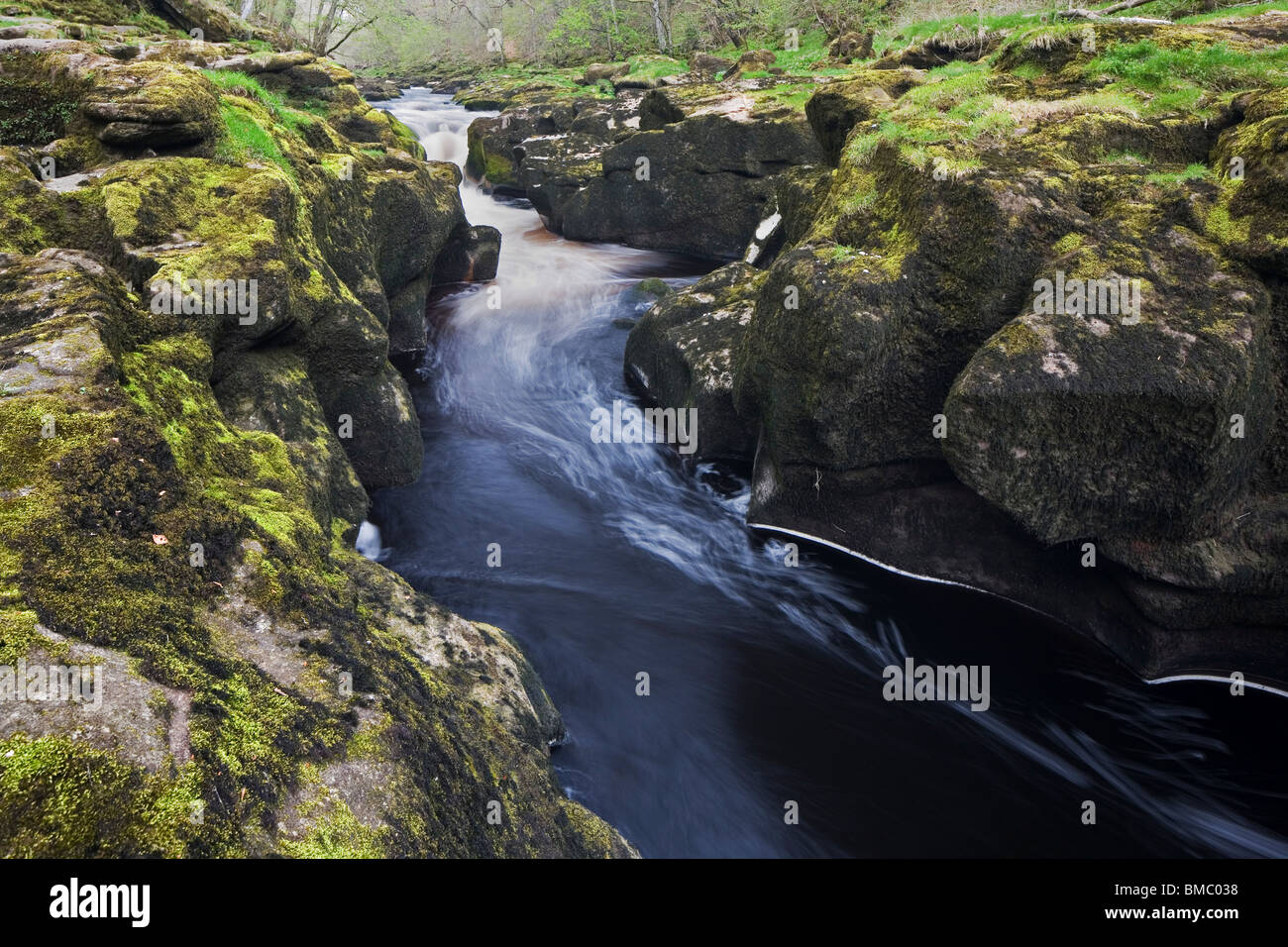 Strid, The River Wharfe ist durch einen schmalen Kalkstein-Kanal hier auf The Bolton Abbey Estate, Yorkshire Dales, UK gezwungen. Stockfoto