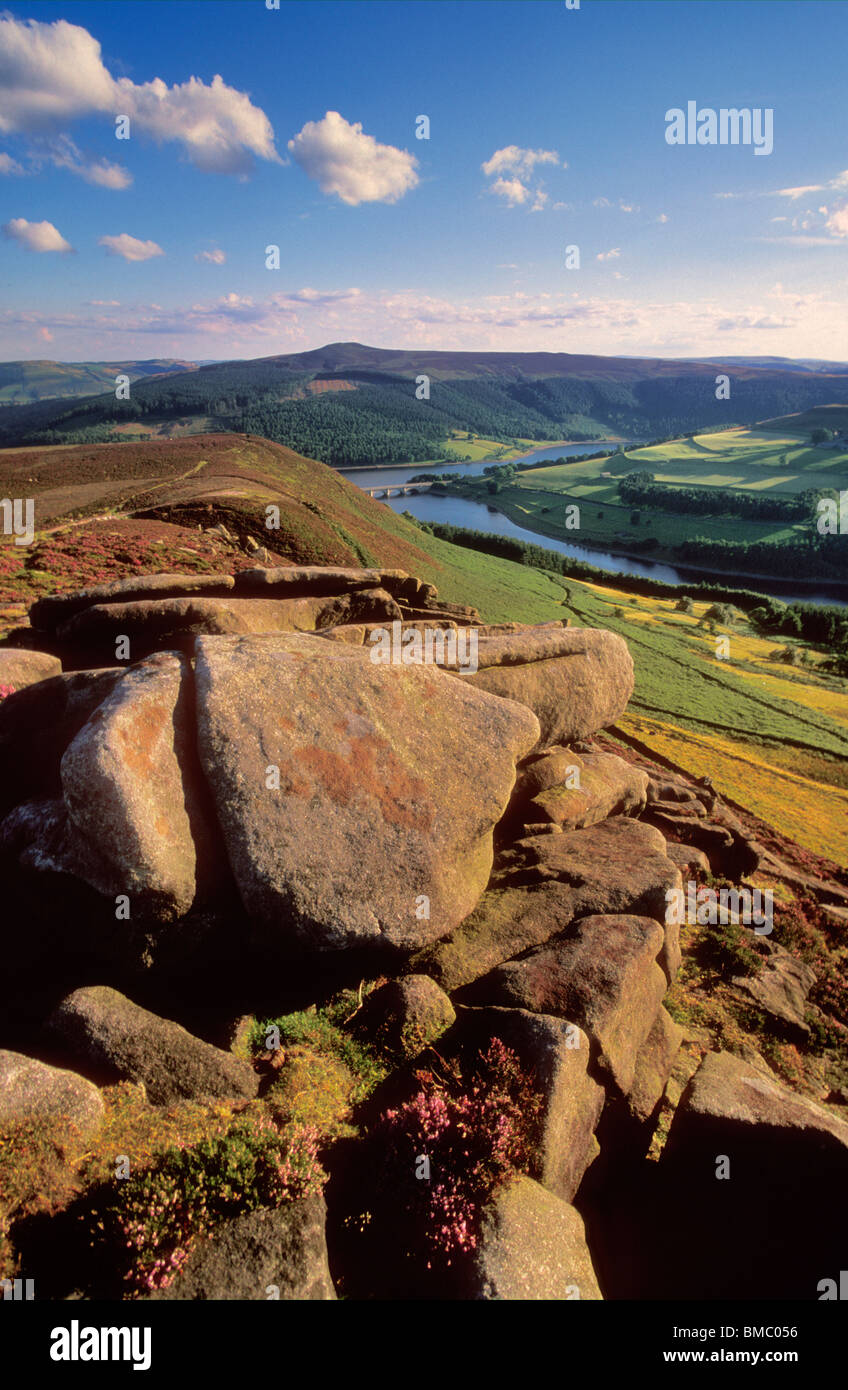 Heather auf Whinstone Lee Tor Derwent moor über Ladybower Vorratsbehälter Derbyshire Peak District Nationalpark Derbyshire England Stockfoto