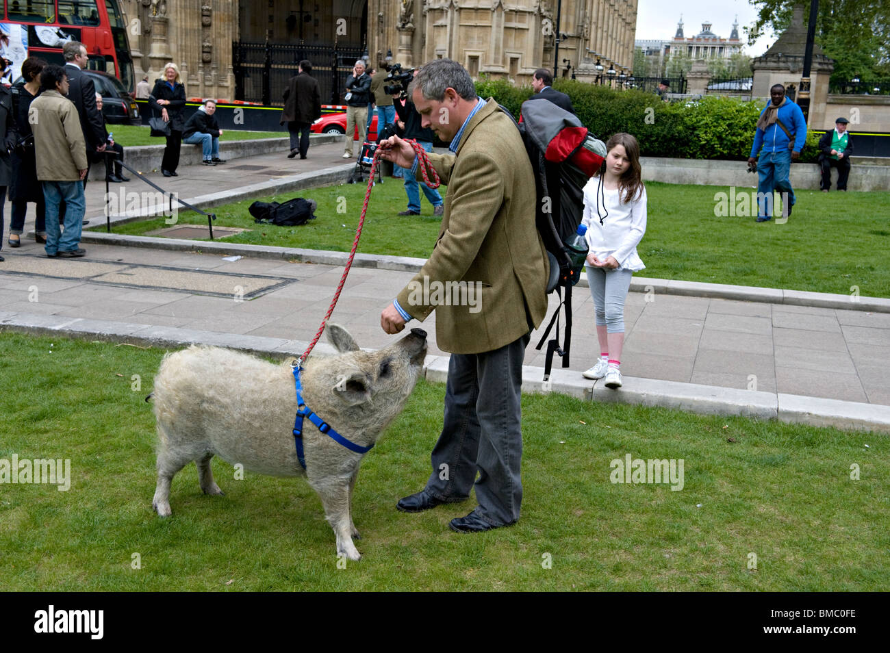 Steve Howell und Scarlett das wollige Schwein Stockfoto