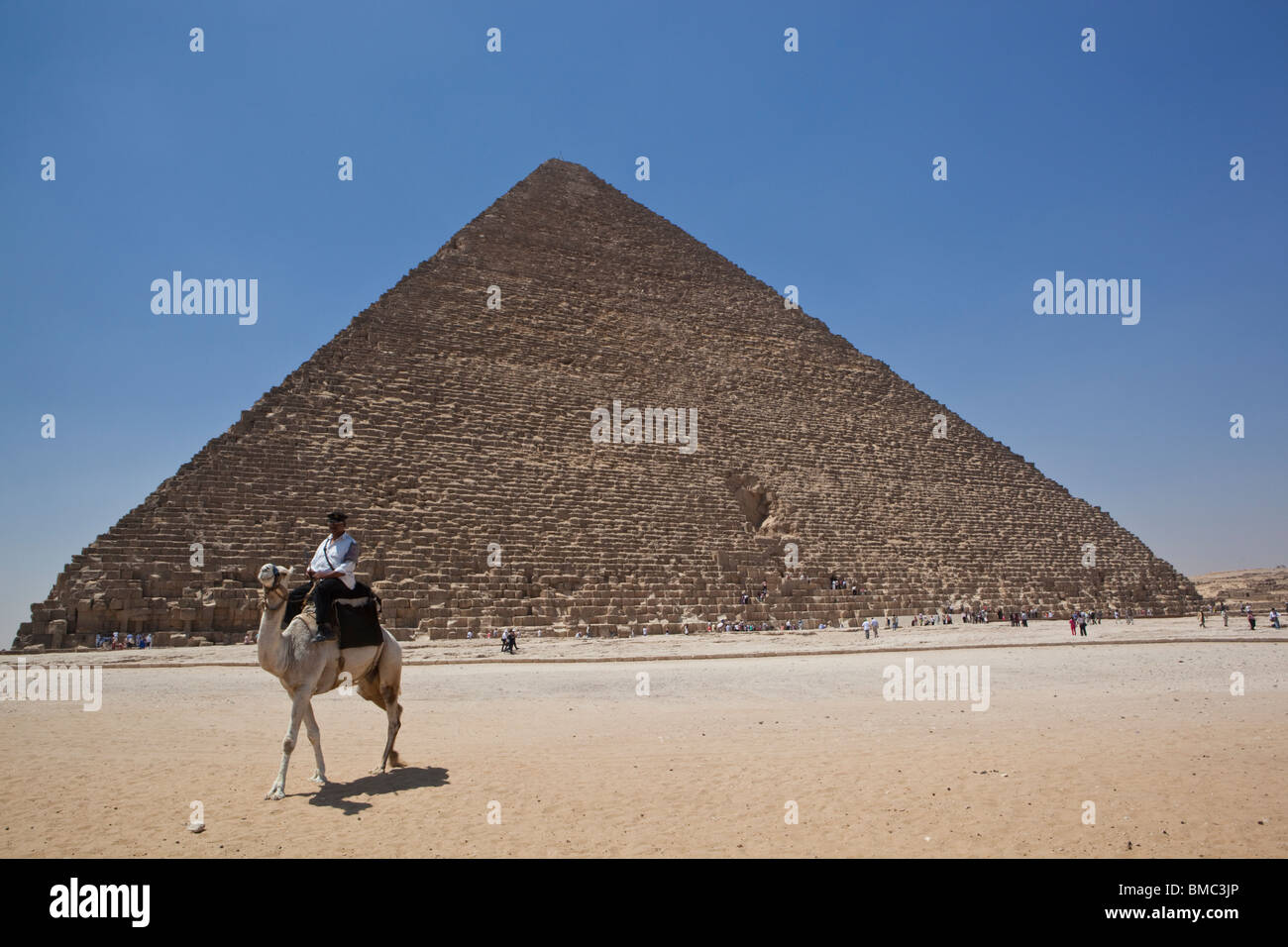 Ein Tourist-Polizisten auf einem Kamel vor den Pyramiden, Gizeh, Ägypten Stockfoto