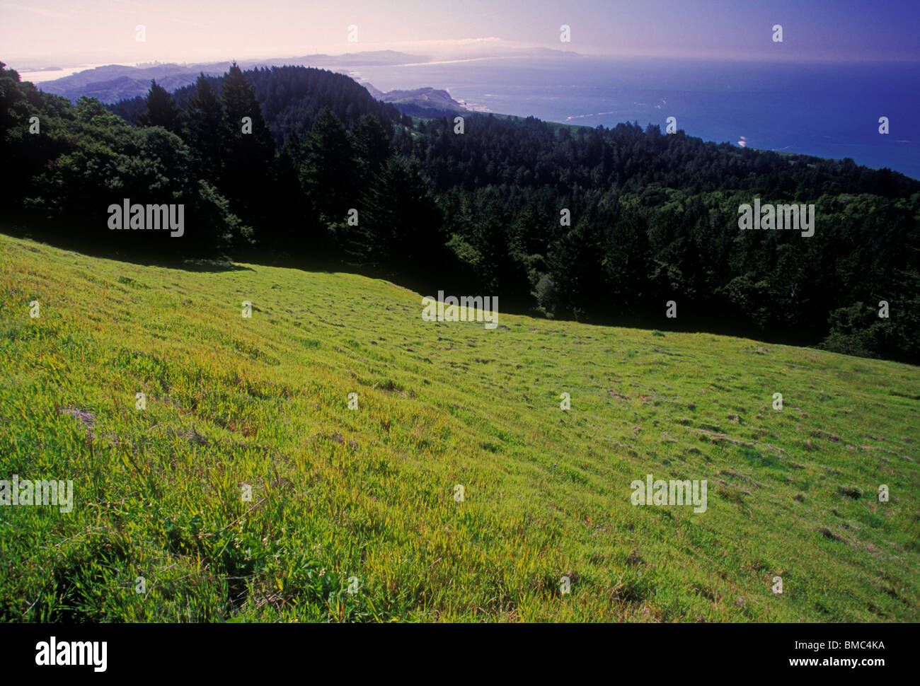 Pazifik, Mount Tamalpais State Park, Mount Tamalpais, State Park, Mount Tam, in der Nähe von Stinson Beach, Marin County, Kalifornien, USA Stockfoto