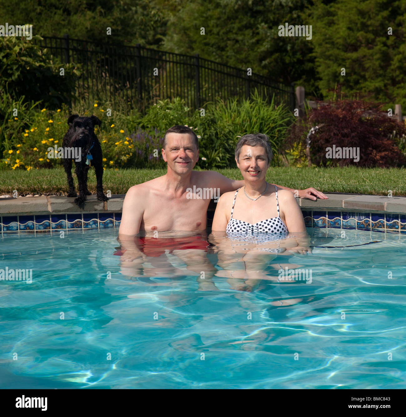 Paar mittleren Alters, Reife/Rentner, entspannen in einem Haus swimming Pool im Garten mit einem kleinen Welpen Stockfoto