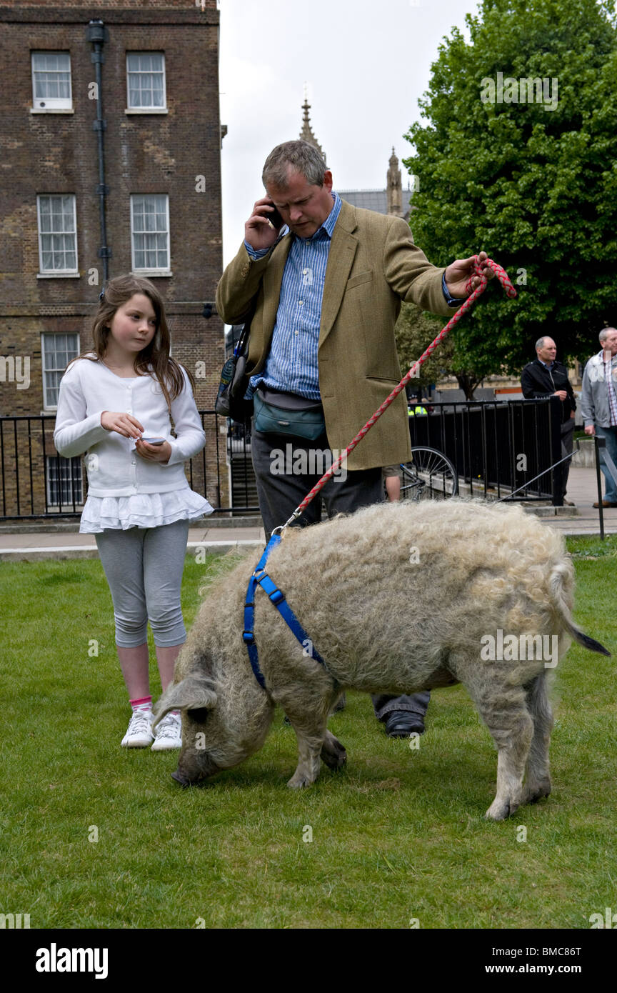 Steve Howell mit Tochter Alex und Scarlett das wollige Schwein Stockfoto