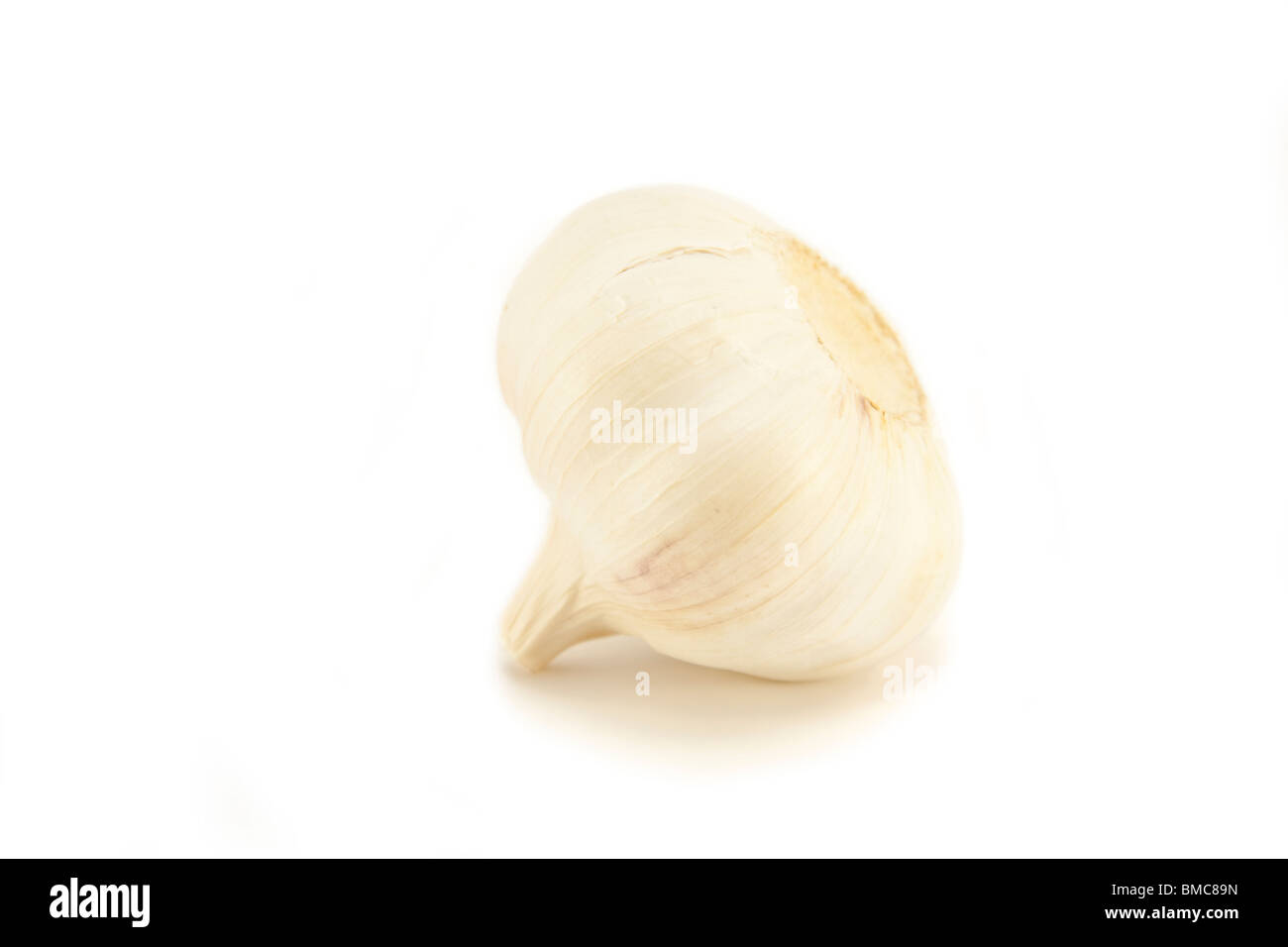Knoblauch ganz auf weiß Stockfoto