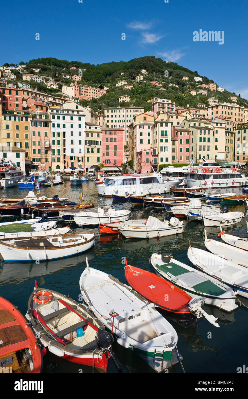Hafen und farbenfrohe Architektur, Camogli, Ligura, Italien Stockfoto