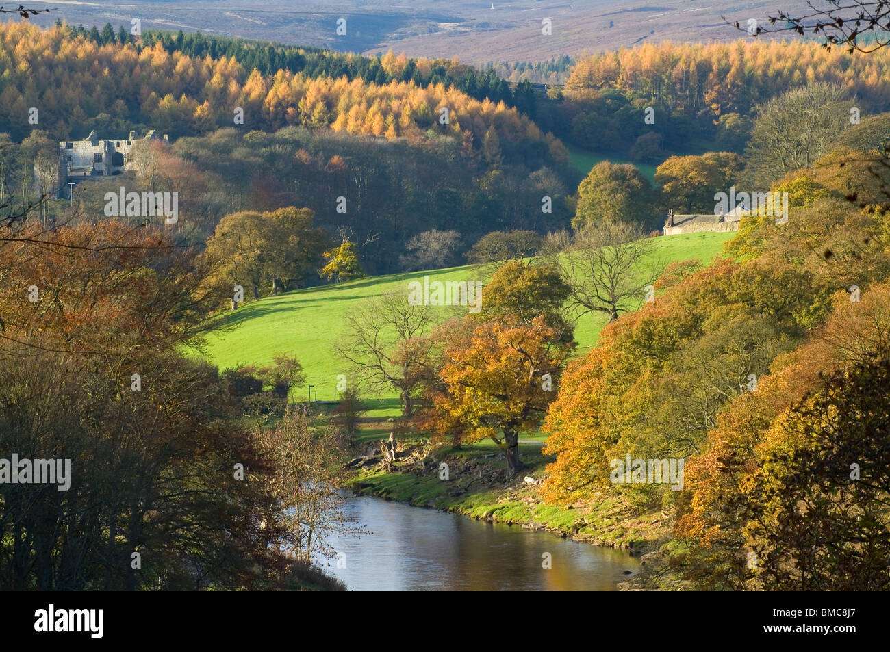 Herbst (Herbst) Farben in Strid Wood, Bolton Abbey, North Yorkshire, England, Stockfoto