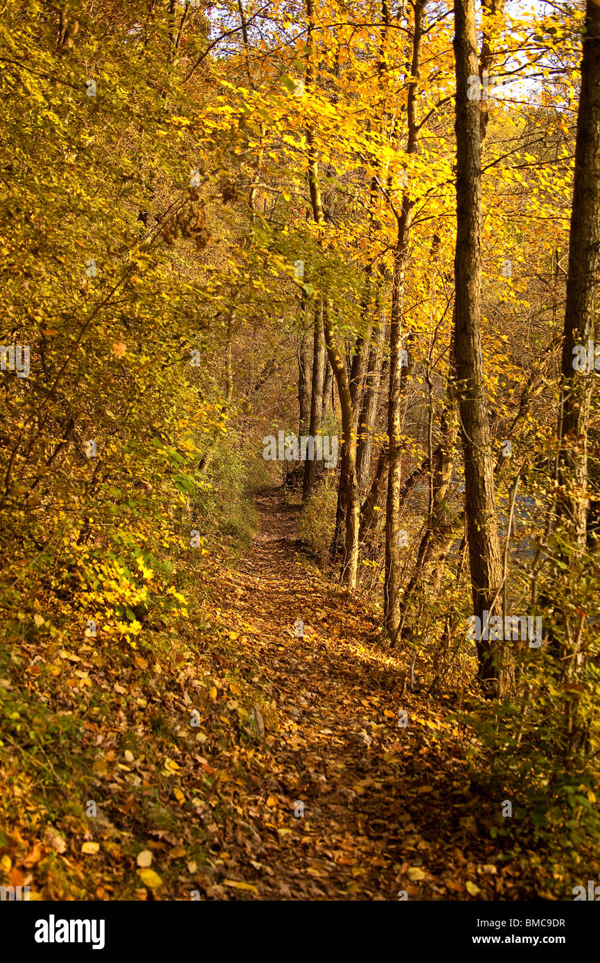 Herbst-Idylle Stockfoto