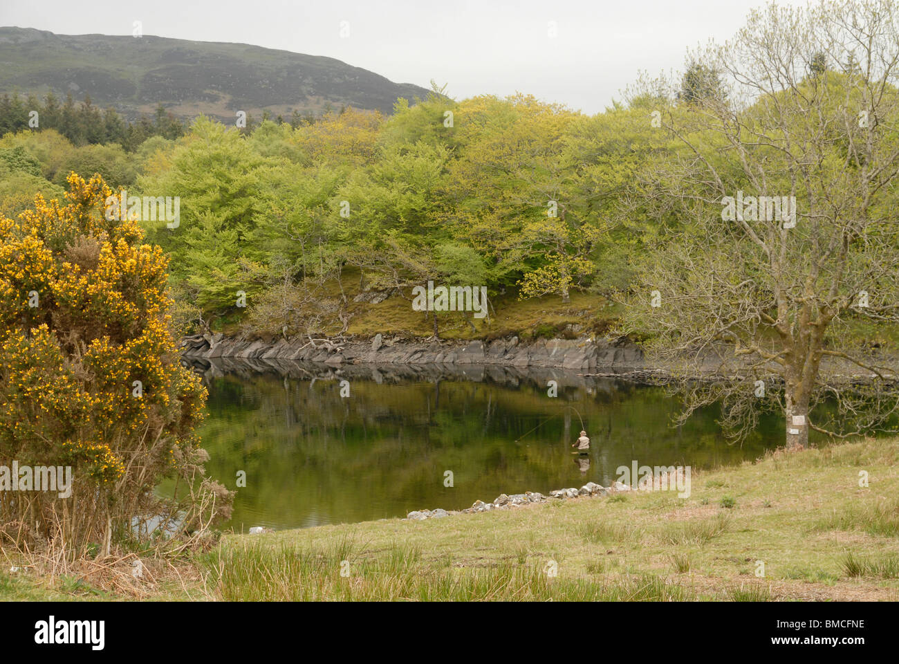 Ein Mann Angeln in Llyn Cynwch, Abgrund gehen, Snowdonia, North Wales, UK Stockfoto