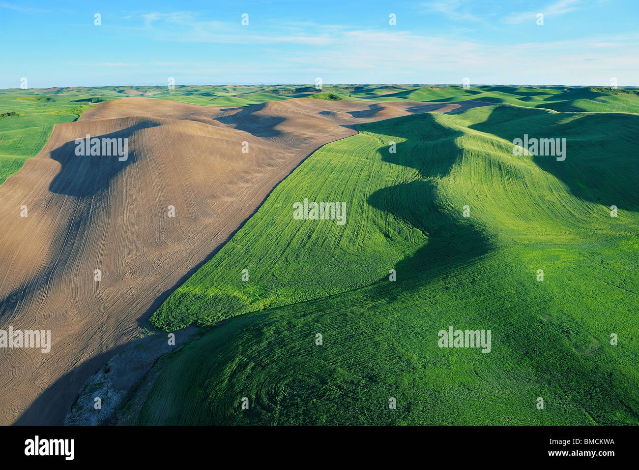 Felder, Palouse Region, Palouse, Whitman County, Bundesstaat Washington, USA Stockfoto