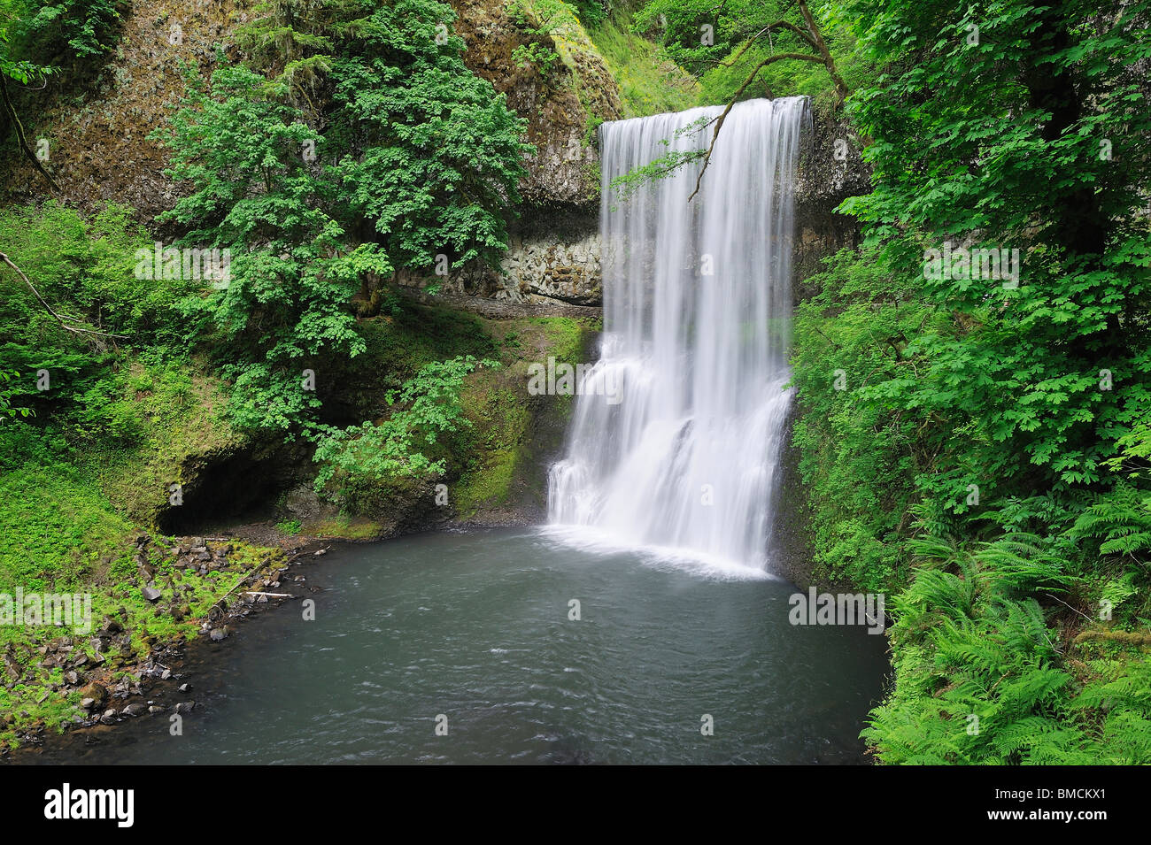 Lower South Falls, Silver Falls State Park, Marion County, Oregon, USA Stockfoto