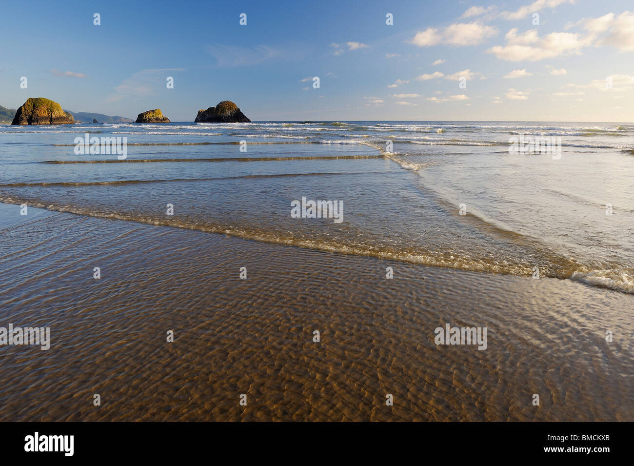 Meer-Stacks Ecola Staatspark, Clatsop County, Oregon, USA Stockfoto