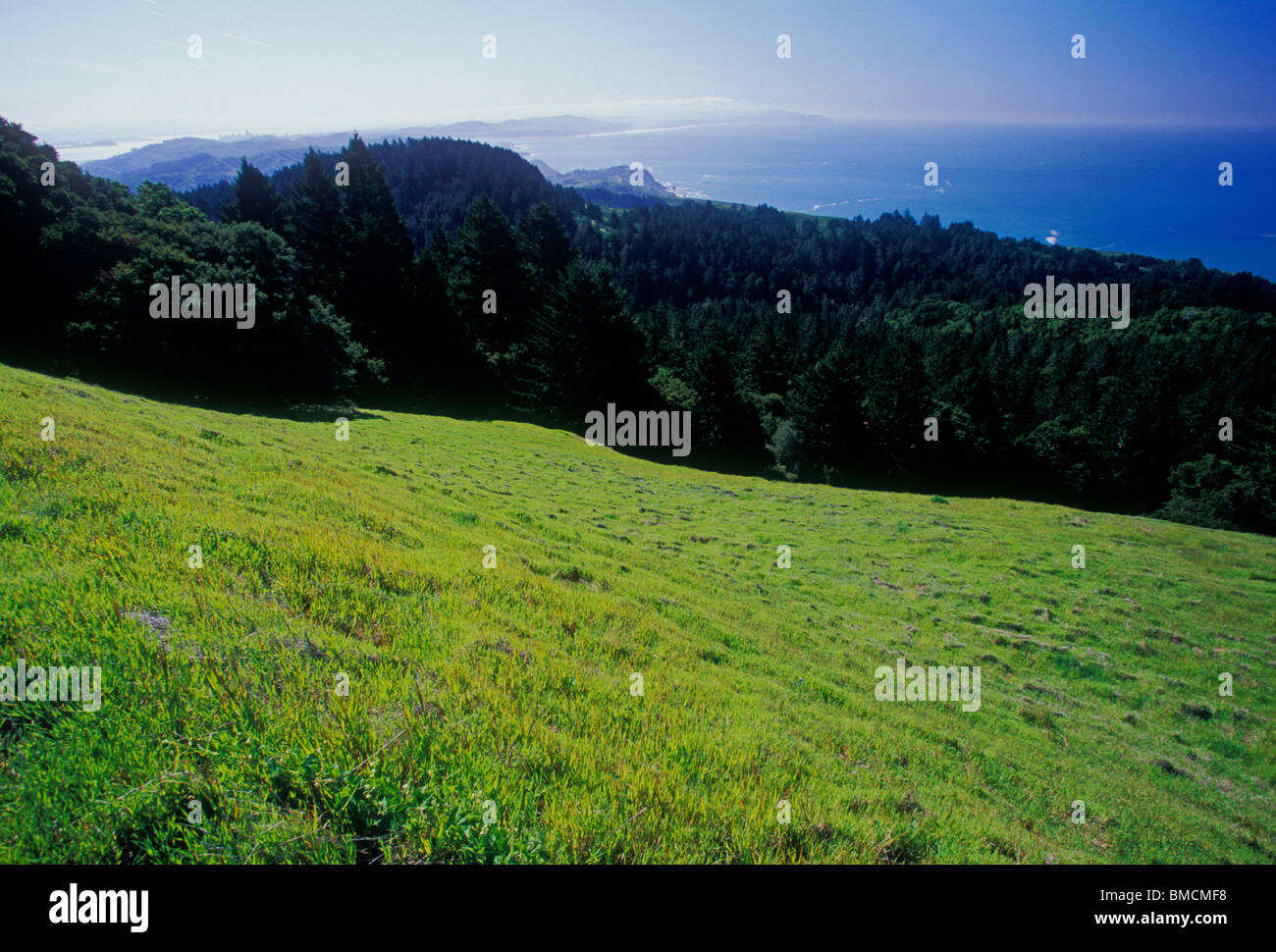 Pazifik, Mount Tamalpais State Park, Mount Tamalpais, State Park, Mount Tam, in der Nähe von Stinson Beach, Marin County, Kalifornien, USA Stockfoto