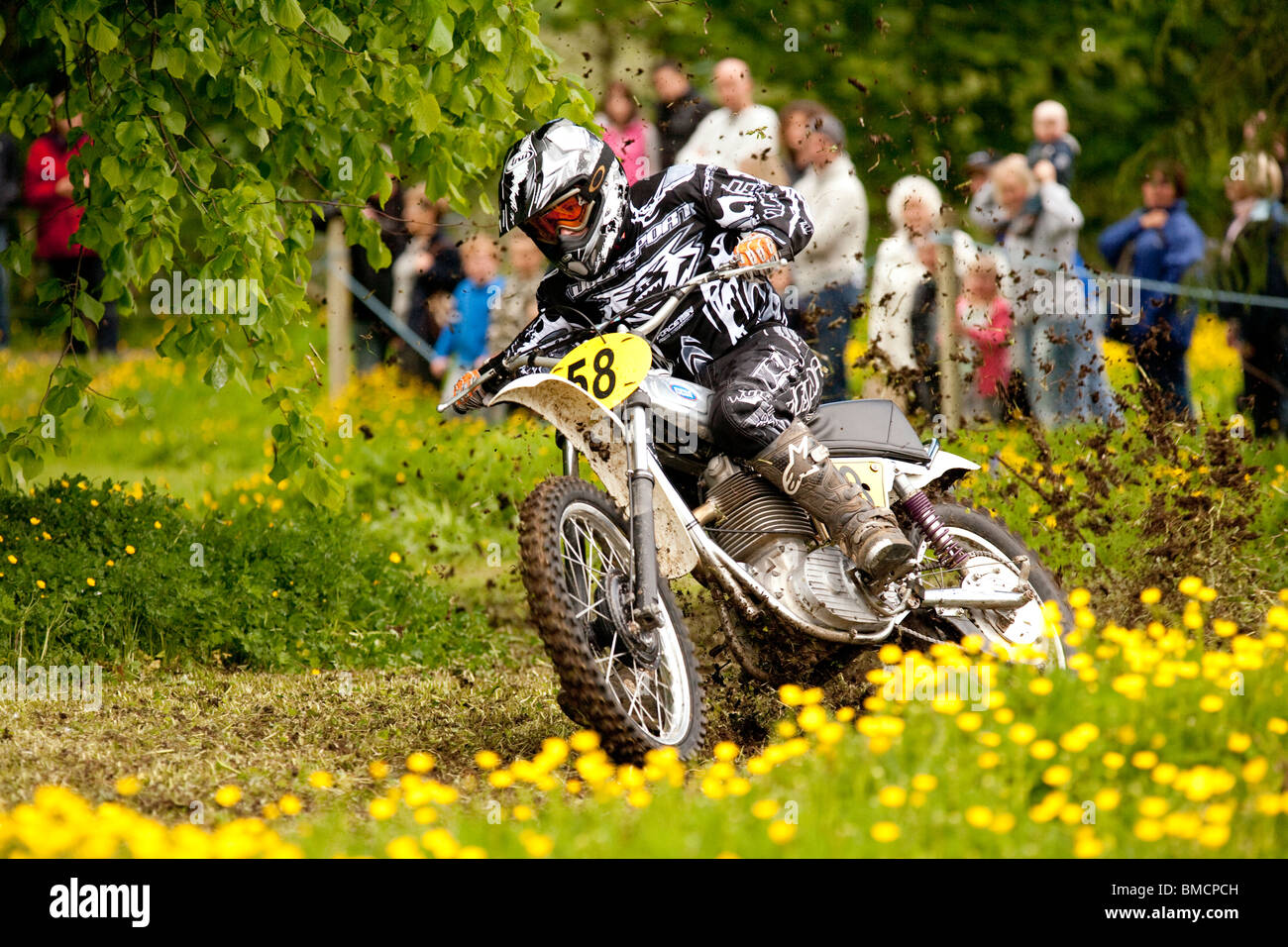 Klassischen Motocross-Demo auf der Baronie College Tag der offenen Tür Motorradrennen durch Feld von Frühling Butterblumen nahe Dumfries UK Stockfoto