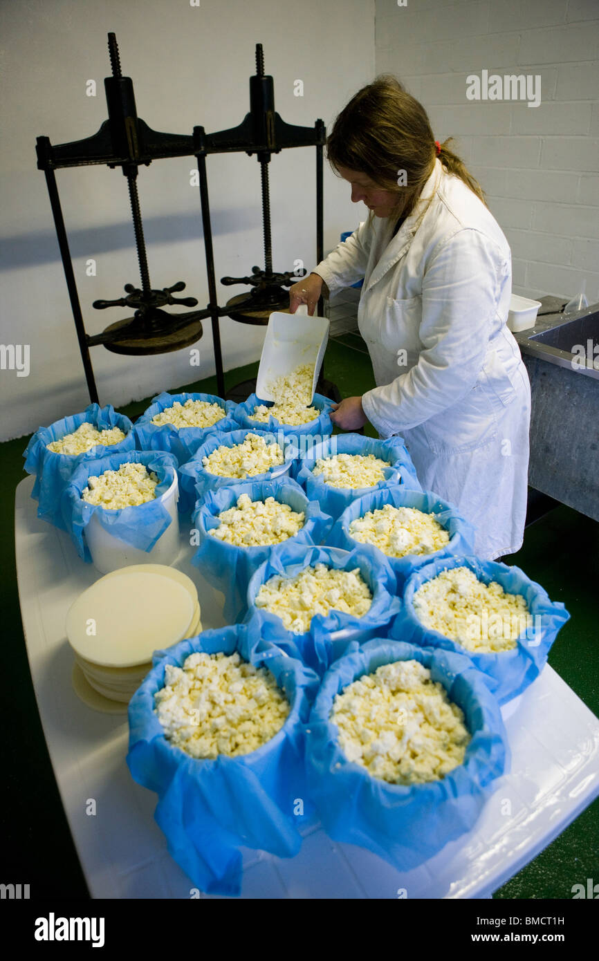 Käse-Maker Jennie Ireland traditionellen Single und Double Gloucester Käse machen. Standish Park Farm. Oxlynch. Gloucestershire. Vereinigtes Königreich. Stockfoto