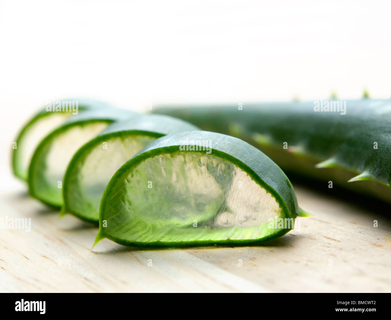 Blatt der Querschnitt eines Kaktus bekannt als Aloe Vera ...