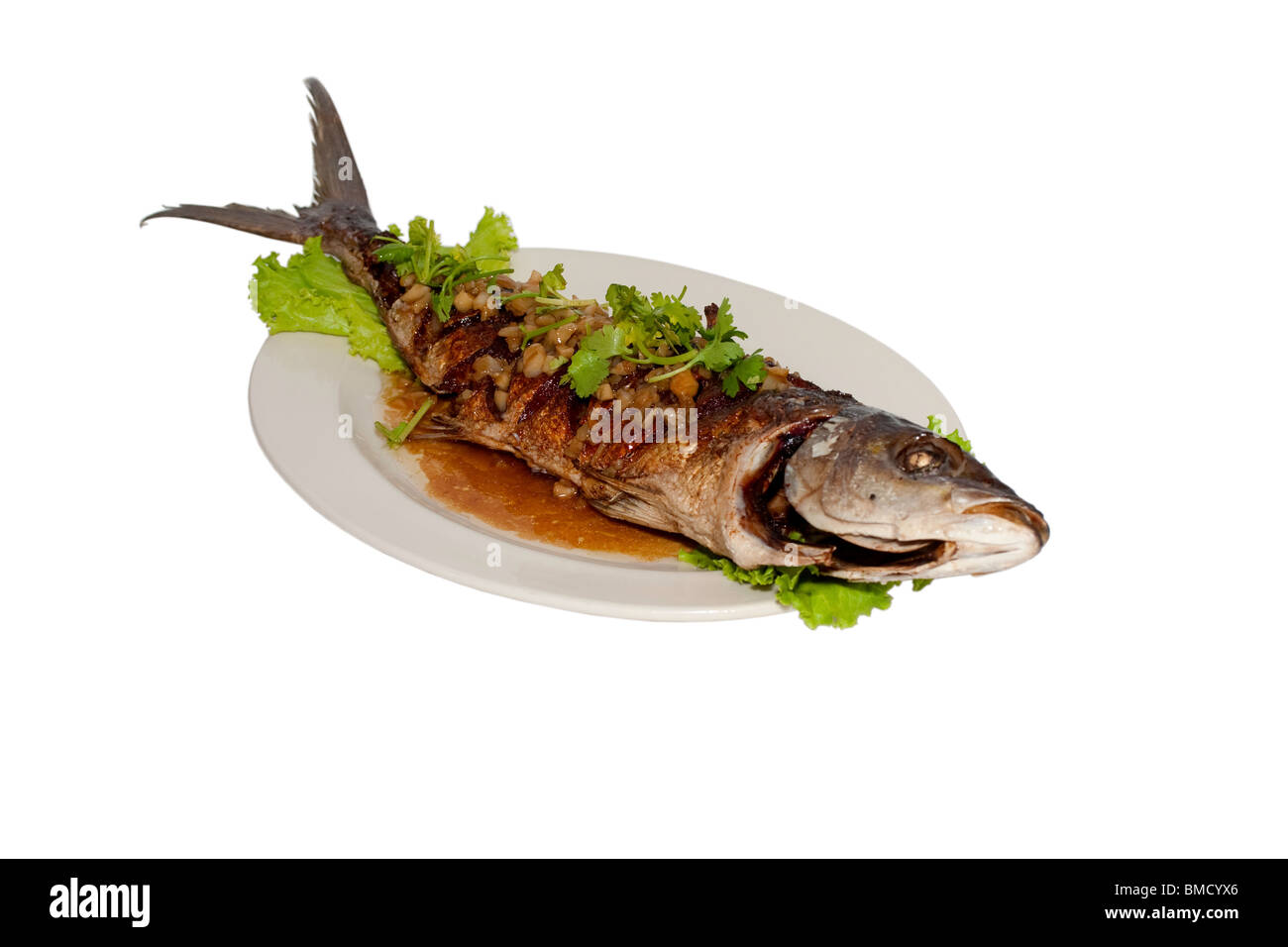 Große Pfanne gebratenen Fisch mit Thai Kräutern auf Teller ausgeschnitten auf weißem Grund und Oberfläche Stockfoto